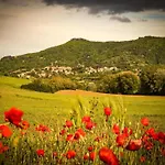 Holiday home Cozy Farmhouse In With Private Pool Paciano