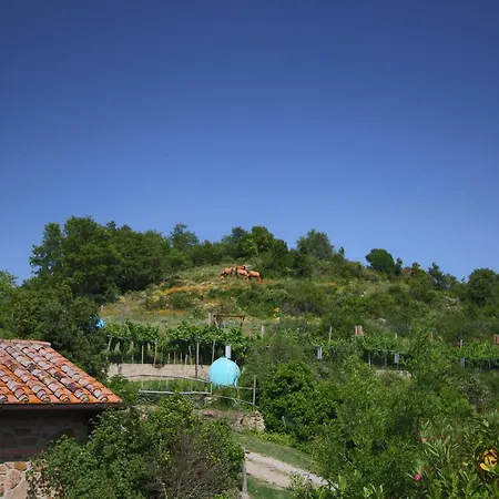Cozy In With Private Pool * Paciano